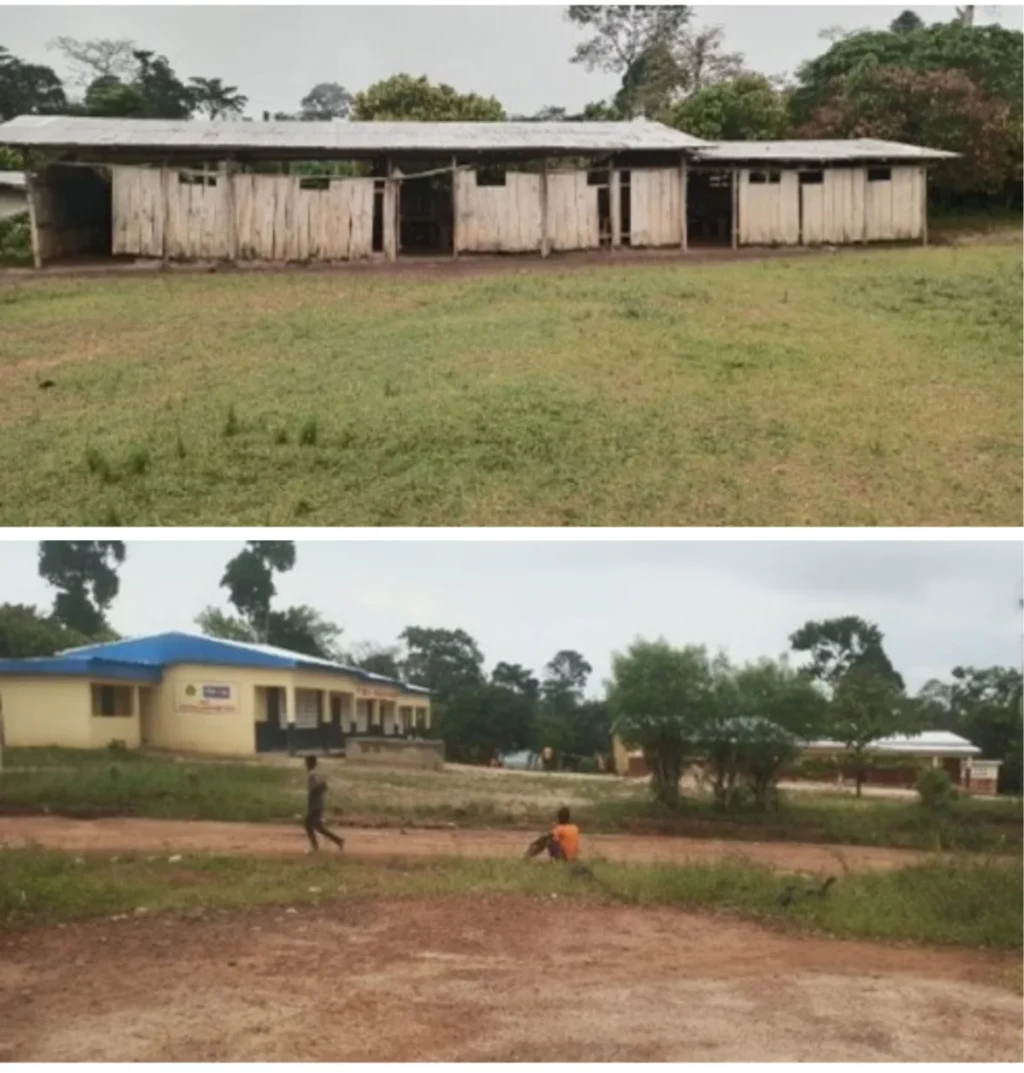 cultivating-futures-how-community-led-education-is-transforming-cote-divoires-cocoa-growing-regions