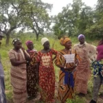 cultivating-resilience-how-benins-youth-are-rewriting-the-future-of-agroforestry