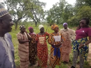 cultivating-resilience-how-benins-youth-are-rewriting-the-future-of-agroforestry