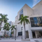floridas-higher-education-pivot-sweeping-ban-on-undocumented-students-triggers-enrollment-and-financial-crisis