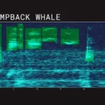 the-final-frontier-beneath-the-waves-how-ai-is-unlocking-the-secrets-of-the-deep-ocean