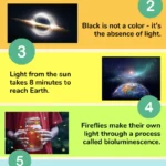 illuminating-the-universe-the-science-history-and-future-of-light-1